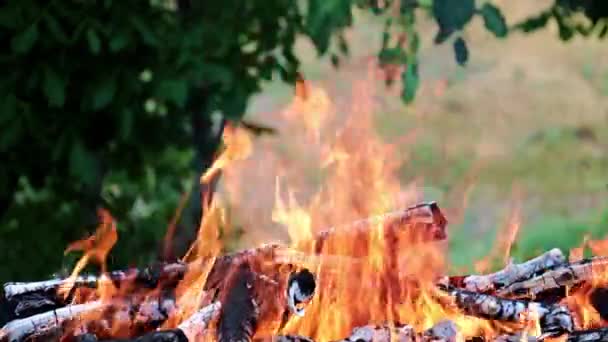 Feuer Und Flamme Eines Waldbrandes Auf Einer Touristenroute — Stockvideo