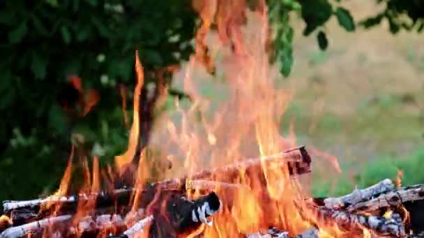 feu lumineux et flamme d'un feu de forêt sur une route touristique 