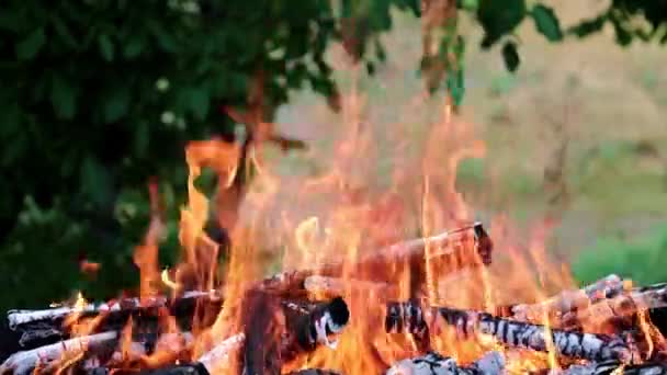 Φωτεινή Φωτιά Και Φλόγα Μιας Δασικής Φωτιάς Μια Τουριστική Διαδρομή — Αρχείο Βίντεο