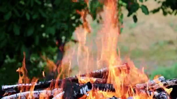 Φωτεινή Φωτιά Και Φλόγα Μιας Δασικής Φωτιάς Μια Τουριστική Διαδρομή — Αρχείο Βίντεο