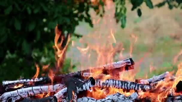 Fogo Brilhante Chama Fogo Florestal Uma Rota Turística — Vídeo de Stock