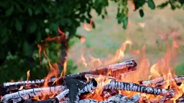 Φωτεινή Φωτιά Και Φλόγα Μιας Δασικής Φωτιάς Μια Τουριστική Διαδρομή — Αρχείο Βίντεο