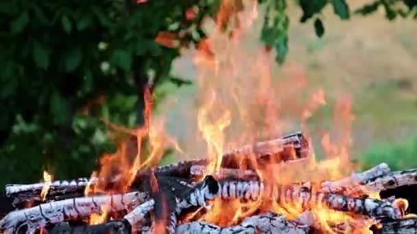 Fuego Brillante Llama Incendio Forestal Una Ruta Turística — Vídeo de stock