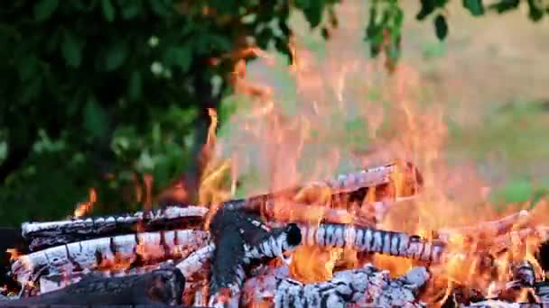 Fuego Brillante Llama Incendio Forestal Una Ruta Turística — Vídeo de stock