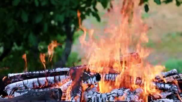 feu lumineux et flamme d'un feu de forêt sur une route touristique 