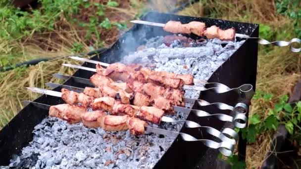 Cozinhar Carne Espetos Sobre Uma Fogueira — Vídeo de Stock