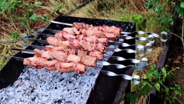 Cooking Meat Skewers Open Fire — Stock Video