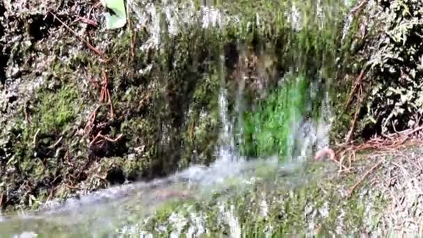 Flujo Agua Una Cascada Entre Muros Hormigón — Vídeo de stock