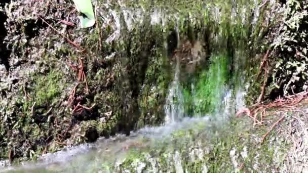 コンクリートの壁の間の滝からの水の流れ — ストック動画