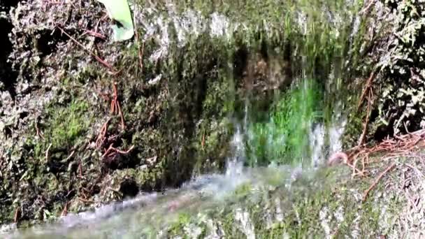 混凝土墙之间的瀑布流出的水流 — 图库视频影像