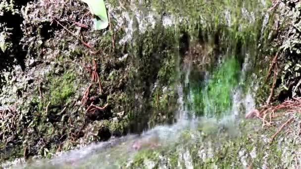 Flusso Acqua Una Cascata Tra Muri Cemento — Video Stock