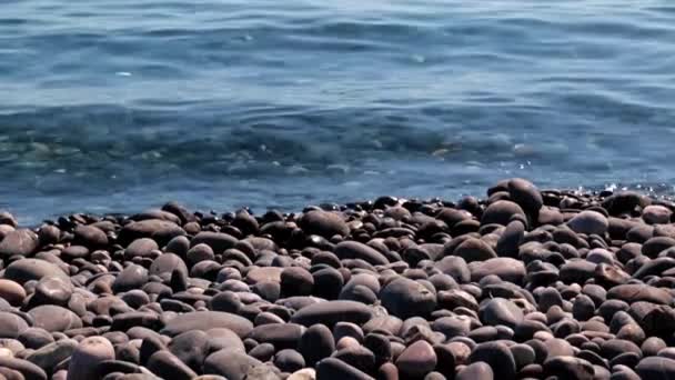 地中海沿岸の野生の小石のビーチ — ストック動画