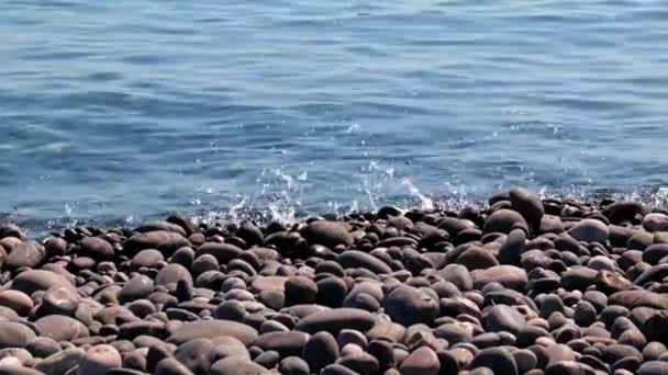 Plage Galets Sauvages Sur Côte Méditerranéenne — Video