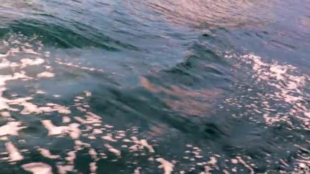 Spuren Der Bewegung Des Bootes Auf Der Meeresoberfläche — Stockvideo