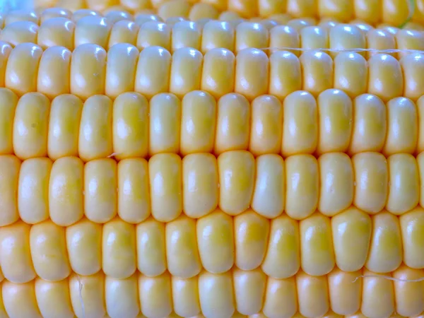 Великі Зерна Стиглої Кукурудзи Поживної Речовини — стокове фото