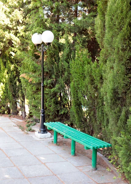 Une Lanterne Sur Poteau Banc Parc Pour Détendre — Photo