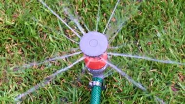 çim yeşil çim üzerinde plastik sprey