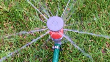 çim yeşil çim üzerinde plastik sprey