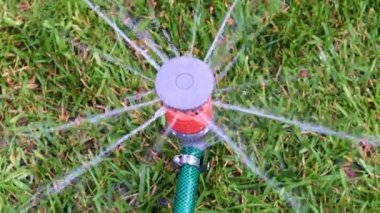 çim yeşil çim üzerinde plastik sprey