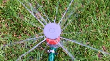 çim yeşil çim üzerinde plastik sprey