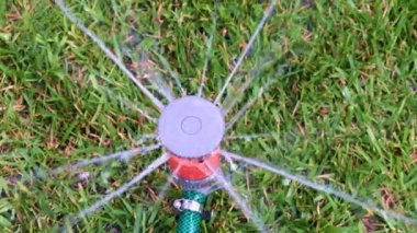 çim yeşil çim üzerinde plastik sprey