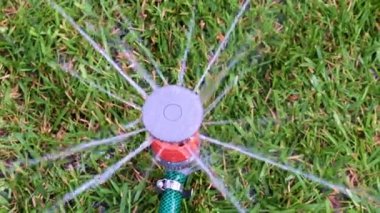 çim yeşil çim üzerinde plastik sprey