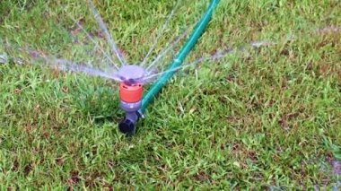 çim yeşil çim üzerinde plastik sprey