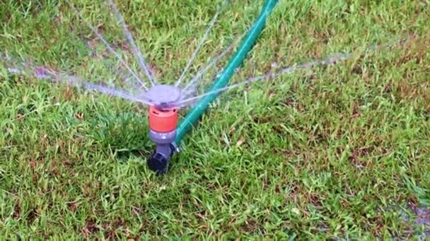 Plastic Spray Het Groene Gras Van Het Gazon — Stockvideo