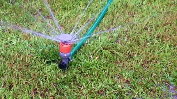 Plastic Spray Het Groene Gras Van Het Gazon — Stockvideo