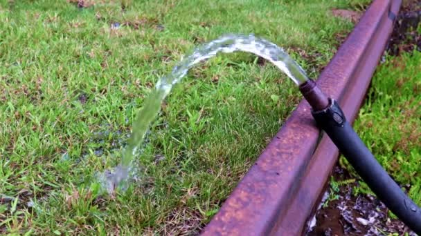 Water Flow Spraying Lawn Rubber Hose — Stock Video