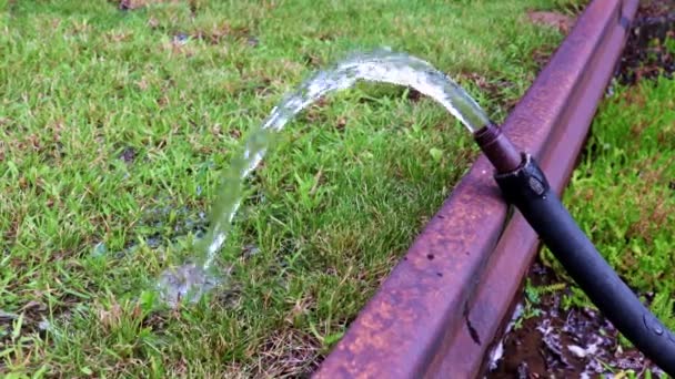 Water Flow Spraying Lawn Rubber Hose — Stock Video