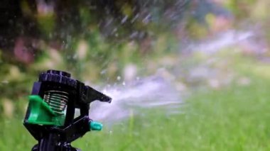 çim sulama plastik bir püskürtücü ile su akışı