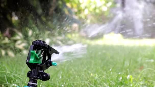 芝生に水をやるとき プラスチック噴霧器を通る水の流れ — ストック動画