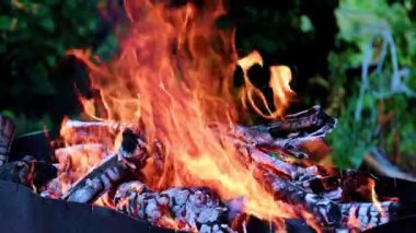 alevler ve açık orman yangın şenlik ateşi sıcak kömür