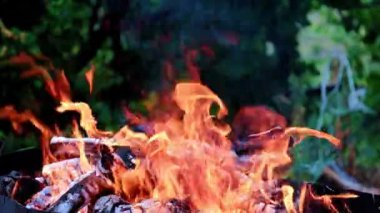 alevler ve açık orman yangın şenlik ateşi sıcak kömür