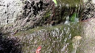 kentsel altyapı drenaj kolektöründen su akışı