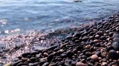 sakin deniz suyu ve kayalık sahil