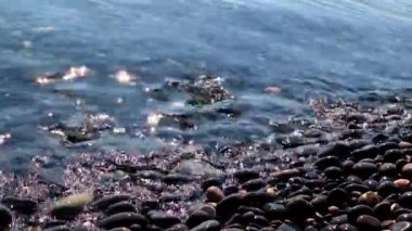 sakin deniz suyu ve kayalık sahil