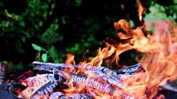 Alevler Açık Orman Yangın Şenlik Ateşi Sıcak Kömür — Stok video