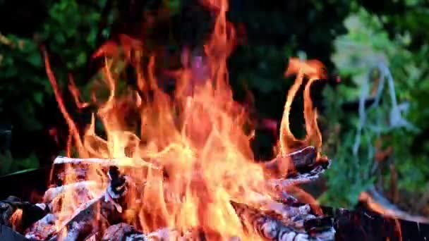 火と熱い石炭の火と熱い石炭の火炎 — ストック動画