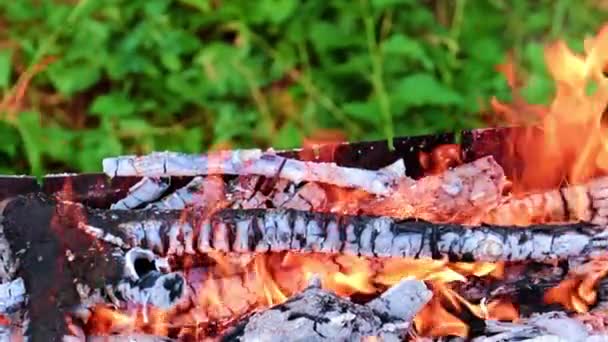 Flammes Charbon Chaud Feu Forêt Ouvert — Video