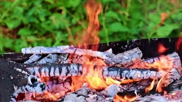 火と熱い石炭の火と熱い石炭の火炎 — ストック動画