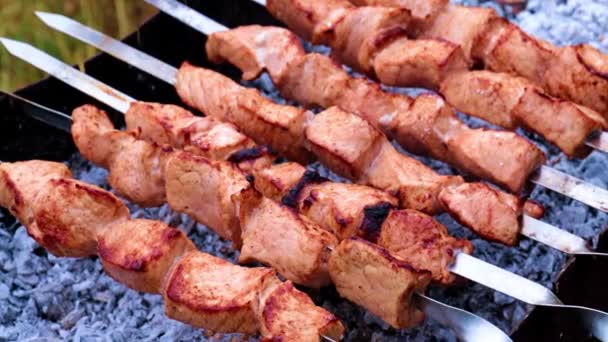 Pedaços Carne Suculenta Espetos Cozinhar Carvão Vegetal — Vídeo de Stock