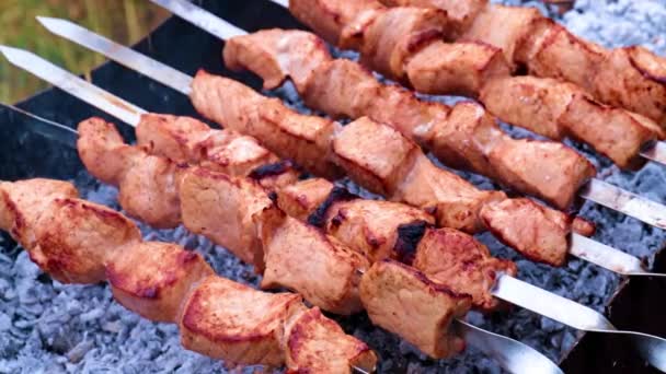 Pieces Juicy Meat Skewers Cooking Charcoal — Stock Video