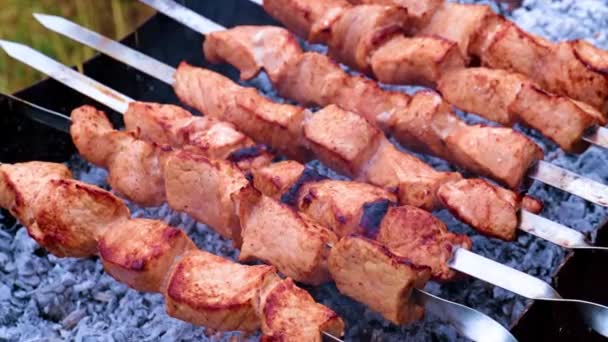 Pedaços Carne Suculenta Espetos Cozinhar Carvão Vegetal — Vídeo de Stock