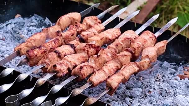 Pedaços Carne Suculenta Espetos Cozinhar Carvão Vegetal — Vídeo de Stock