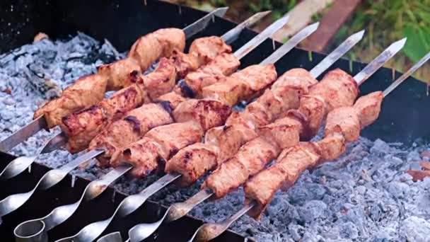 Pedaços Carne Suculenta Espetos Cozinhar Carvão Vegetal — Vídeo de Stock