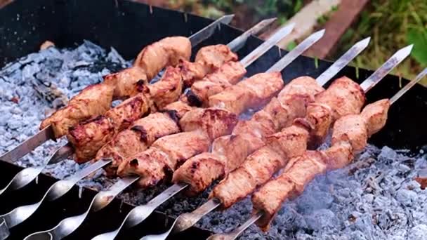 Кусочки Сочного Мяса Шампуре Приготовлении Древесном Угле — стоковое видео