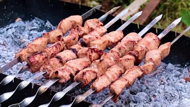 Morceaux Viande Juteuse Sur Brochettes Lors Cuisson Sur Charbon Bois — Video