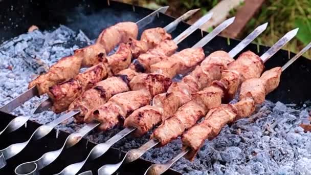 炭で調理する際の串にジューシーな肉の断片 — ストック動画